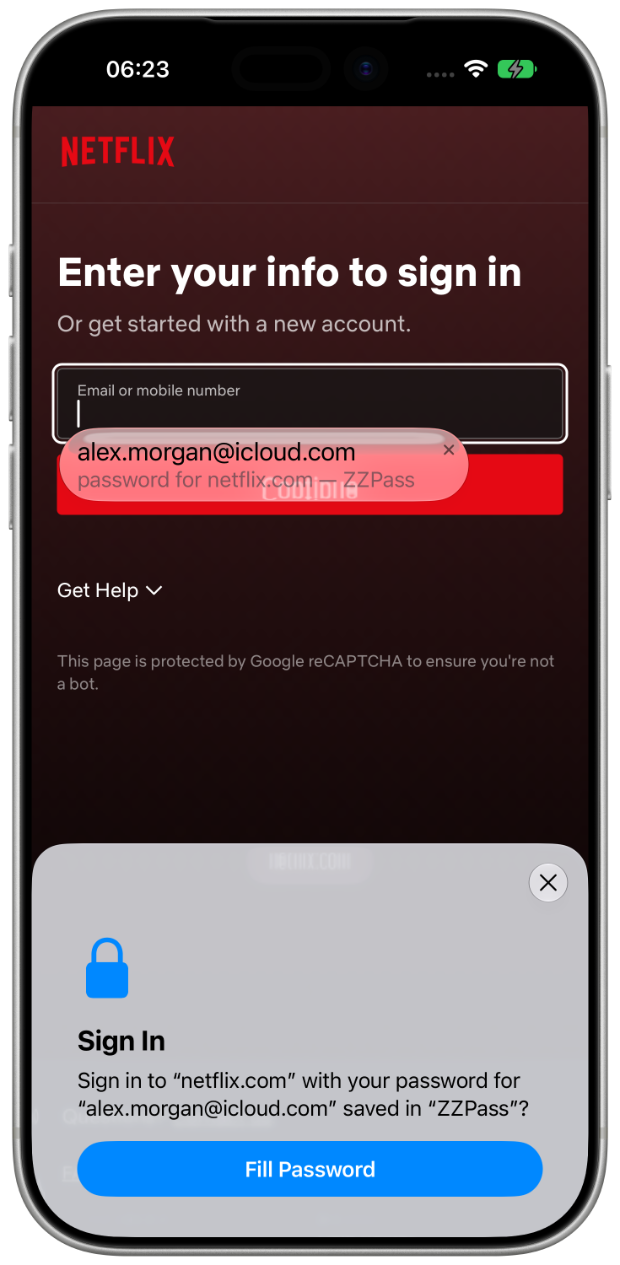 ZZPass autofilling a Netflix login on iPhone
